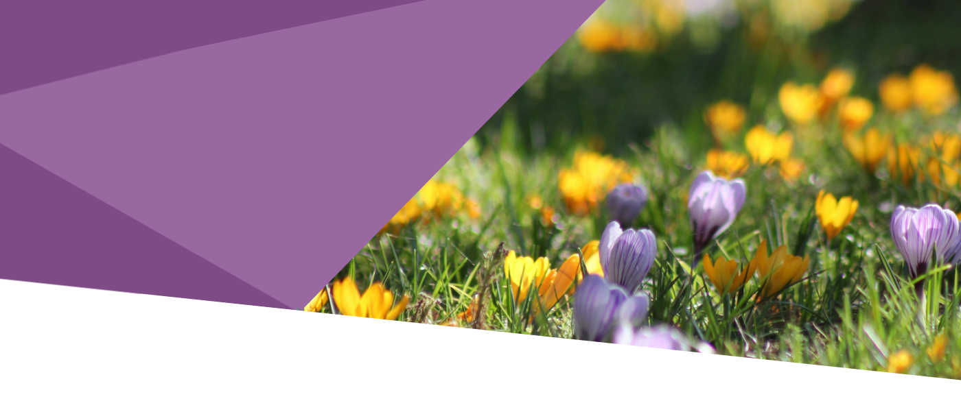 promocion primavera parra vazquez blanqueamiento